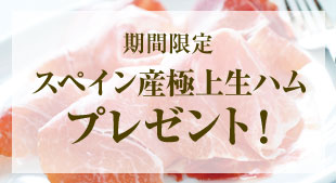 期間限定 スペイン産極上生ハムプレゼント! 2025年4月17日(木)締切