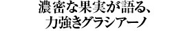 濃密な果実が語る、力強きグラシアーノ