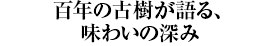百年の古樹が語る、味わいの深み