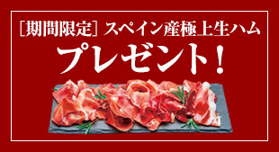 先着100名様限定・送料無料