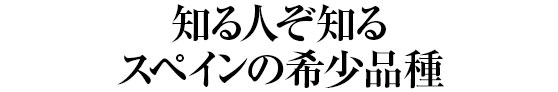 知る人ぞ知るスペインの希少品種