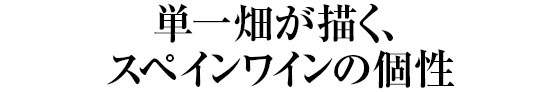 単一畑が描く、スペインワインの個性