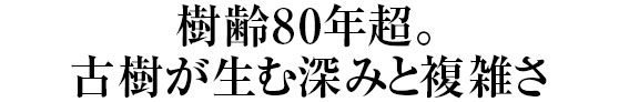 樹齢80年超。古樹が生む深みと複雑さ
