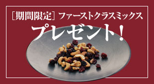 先着100名様限定・送料無料