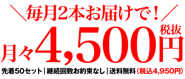 月々4,500円（税抜）送料無料