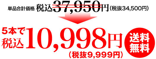 5000円（税抜）送料無料