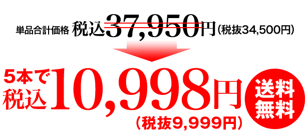 9,999円（税抜）送料無料
