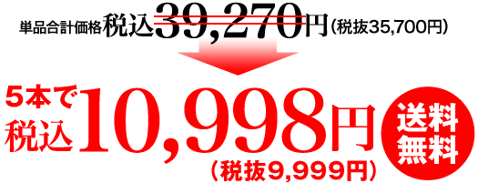 9,999円（税抜）送料無料