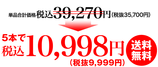 9,999円（税抜）送料無料