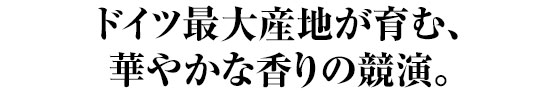 ドイツ最大産地が育む、華やかな香りの競演。