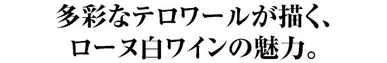 多彩なテロワールが描く、ローヌ白ワインの魅力。