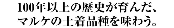 100年以上の歴史が育んだ、マルケの土着品種を味わう。