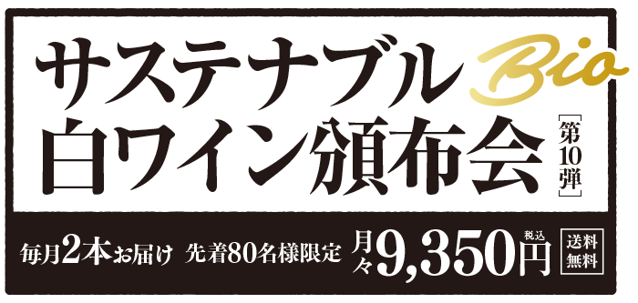 サステナブル白ワイン頒布会［第10弾］ 送料無料 先着80名様限定