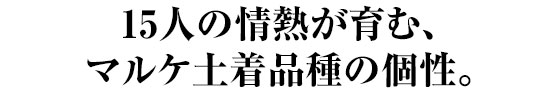 15人の情熱が育む、マルケ土着品種の個性。