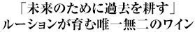 「未来のために過去を耕す」ルーションが育む唯一無二のワイン