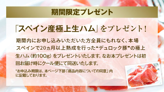 期間限定 スペイン産極上生ハムプレゼント!  2025年9月17日（水）締切