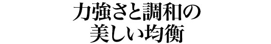 力強さと調和の美しい均衡