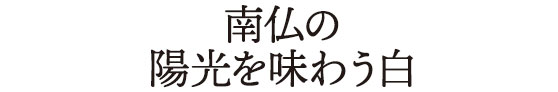 南仏の陽光を味わう白