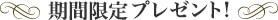 期間限定プレゼント