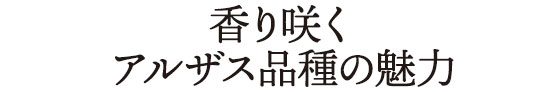 香り咲くアルザス品種の魅力