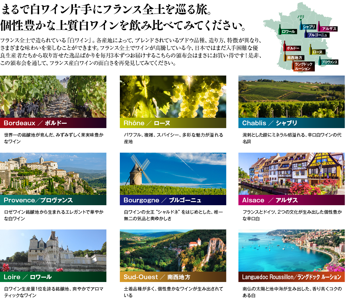 毎月お届けするワインのご紹介
