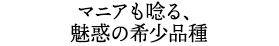 マニアも唸る、魅惑の希少品種