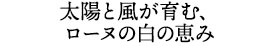 太陽と風が育む、ローヌの白の恵み